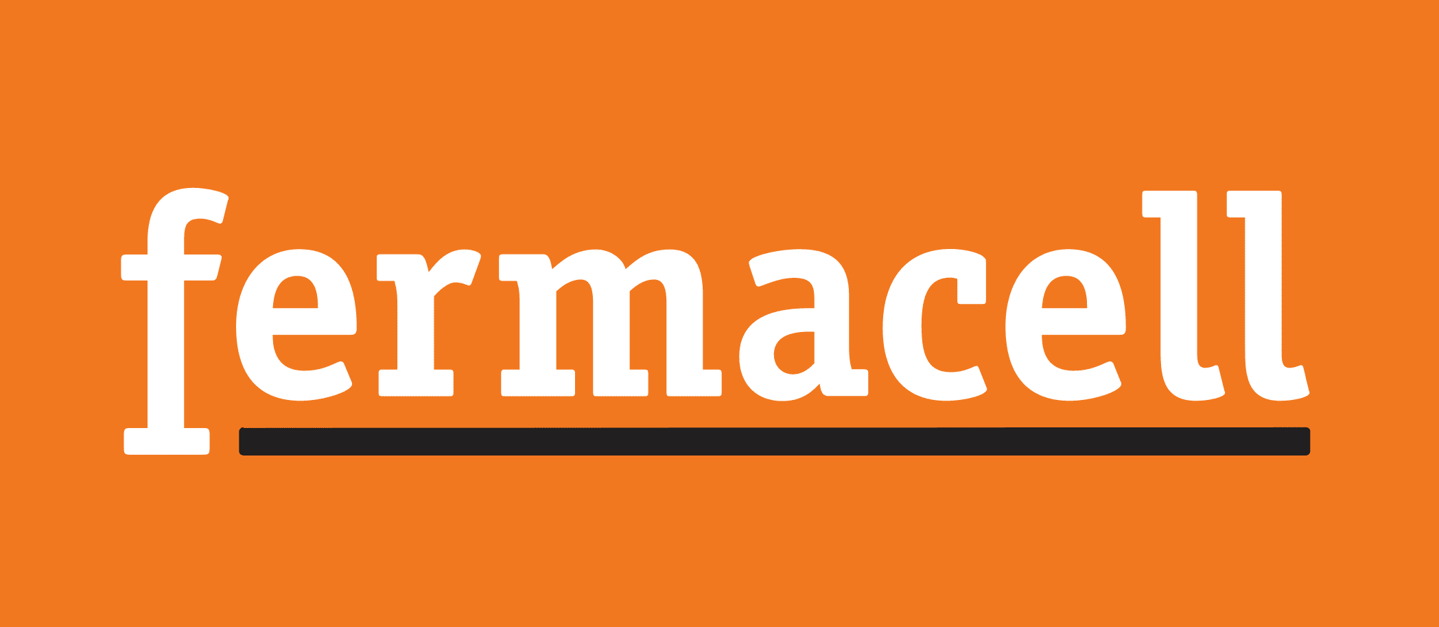 Logo Fermacell